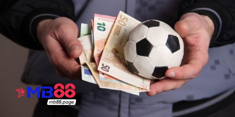 Mẹo cá cược bóng đá chuẩn xác từ chuyên gia